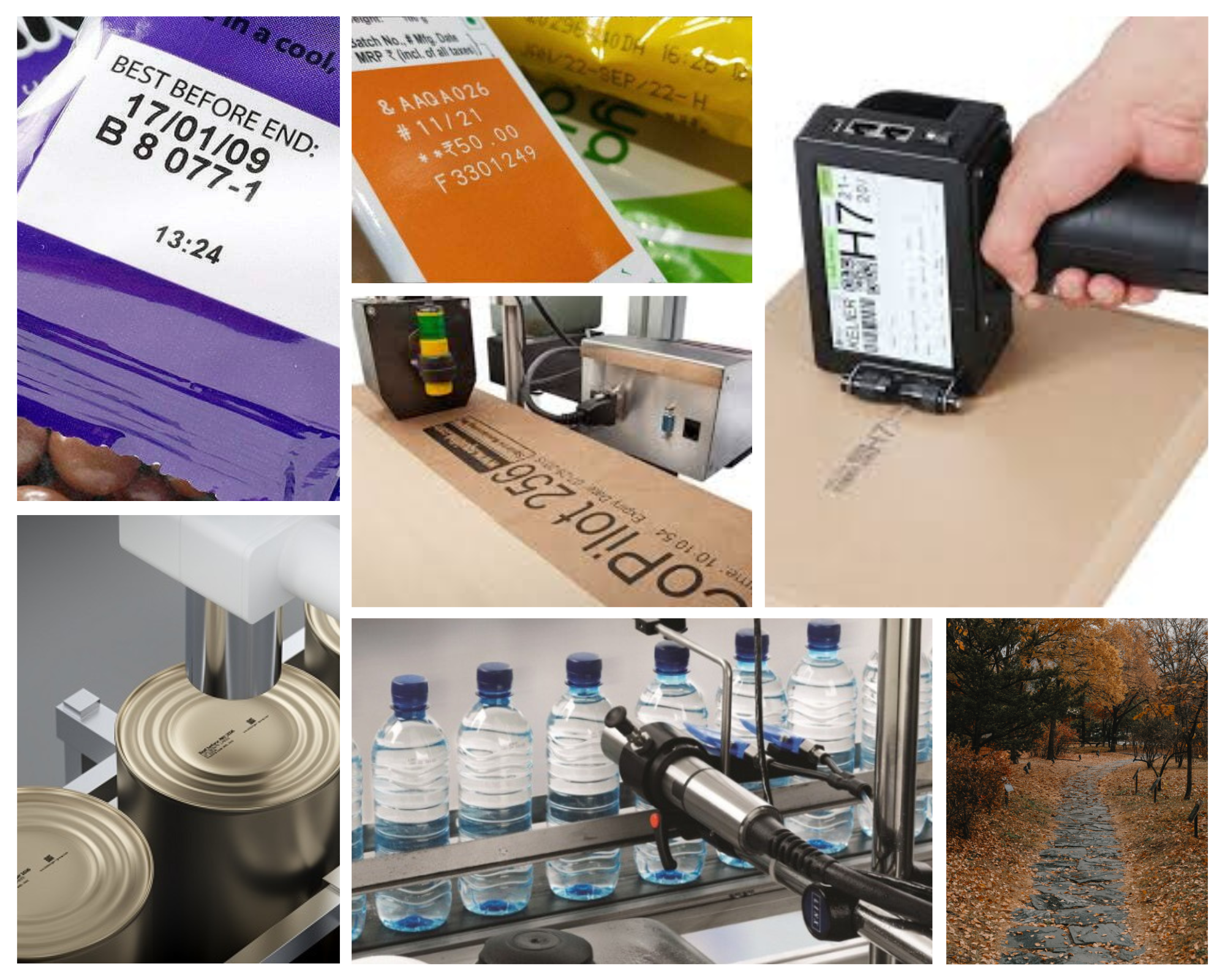 2 Evolution of Coding and Marking